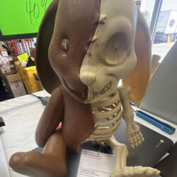 Grave and bones, LED skeleton bunny